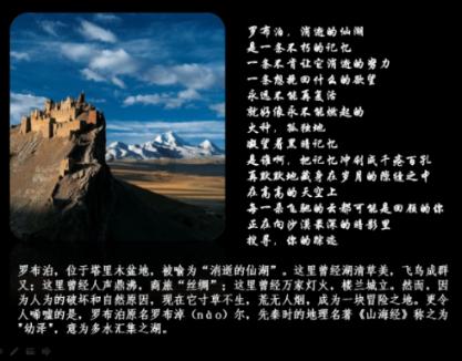 探索蜗牛世界,尽在凤台小鱼网最新招聘信息问答平台
