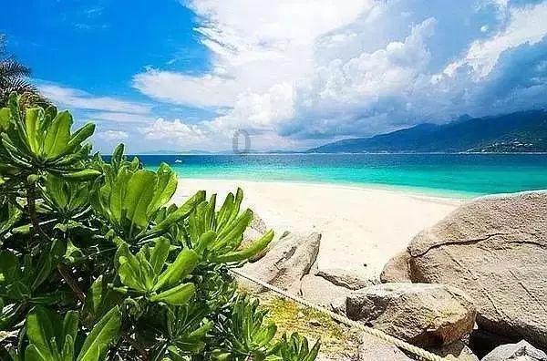 消逝的光芒